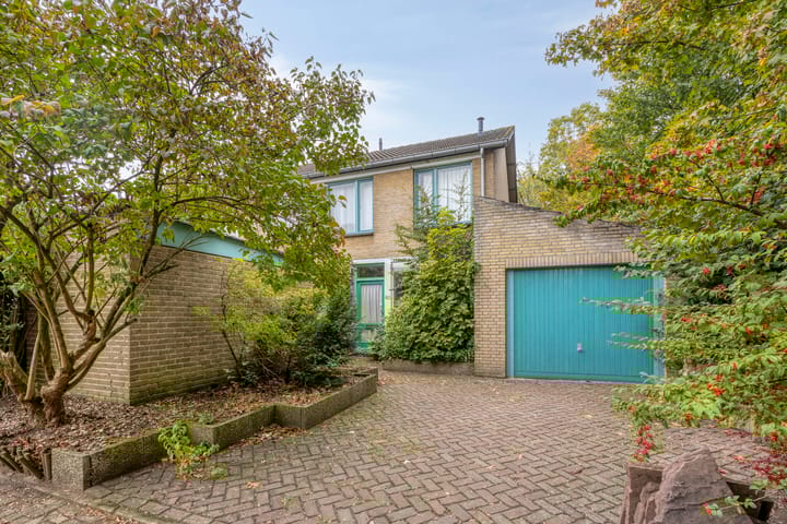 Foto 1 van Kievit 60