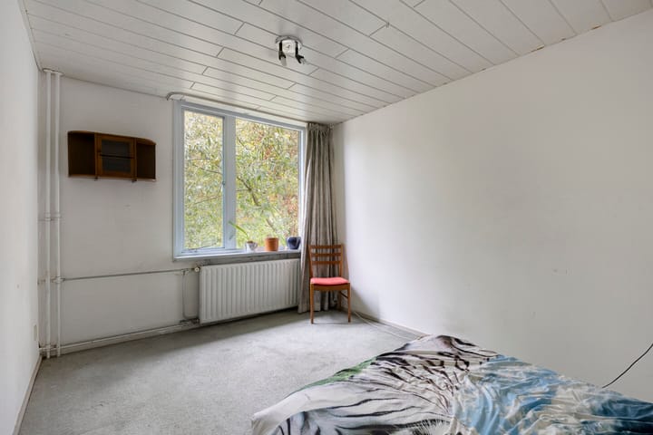 Foto 11 van Kievit 60