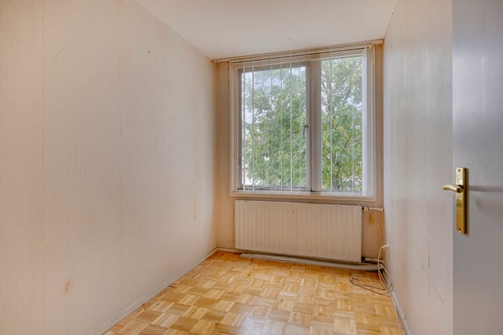 Foto 12 van Kievit 60