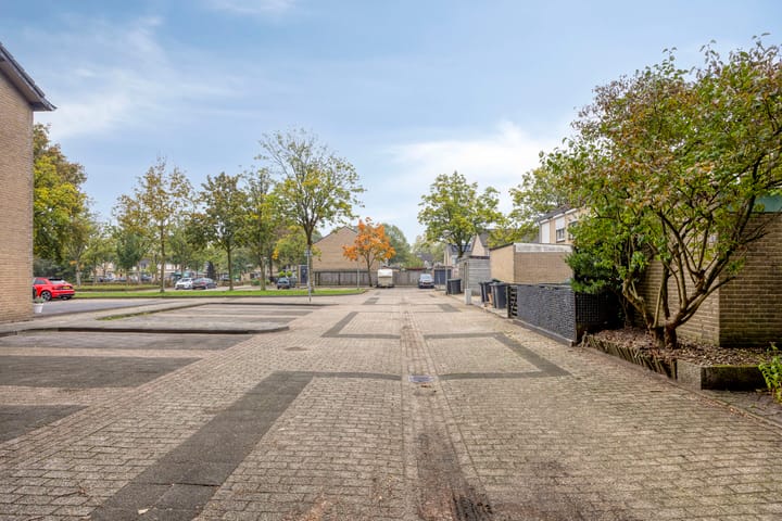 Foto 23 van Kievit 60