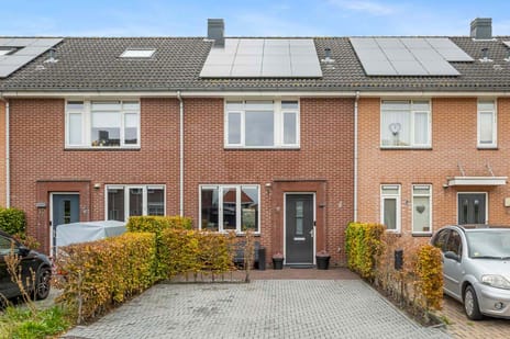 undefined main image