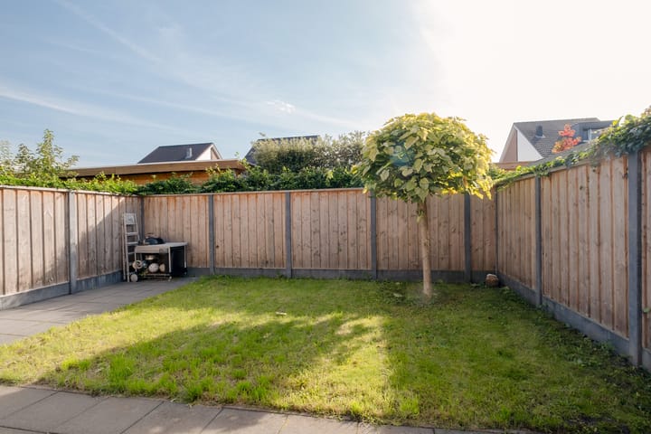 Photo 3 of Zomervlinder 43