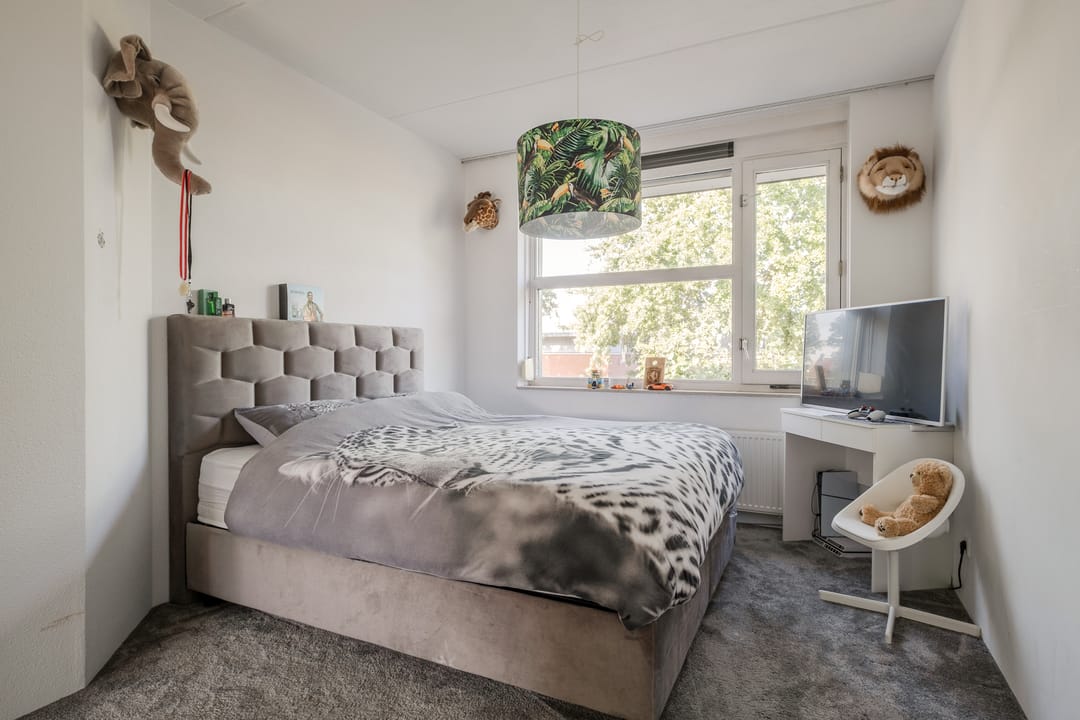 Foto 13 van Zomervlinder 43