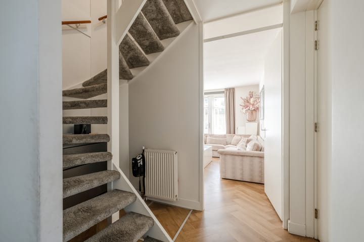 Photo 7 of Zomervlinder 43