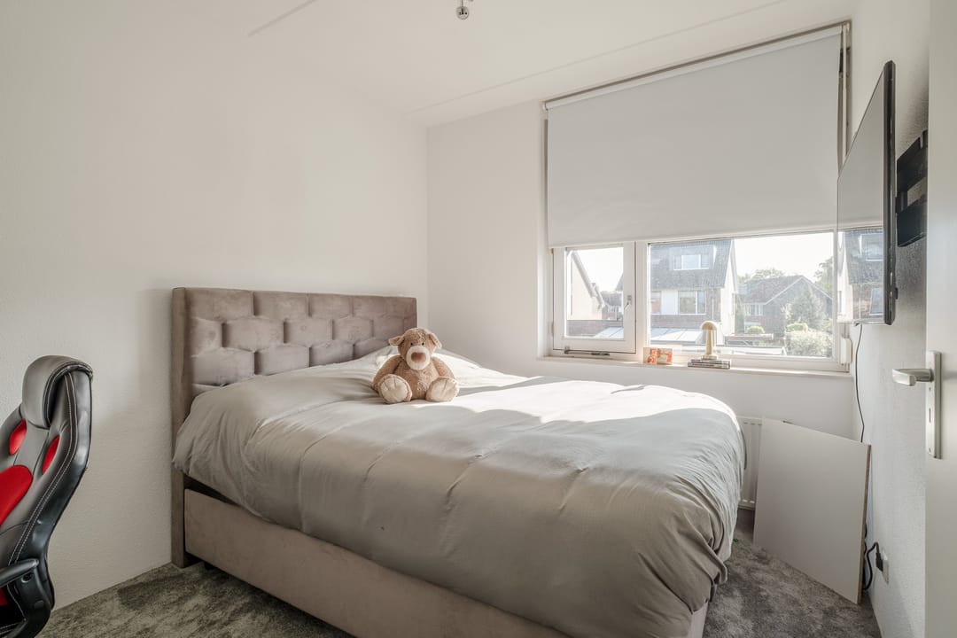 Foto 16 van Zomervlinder 43