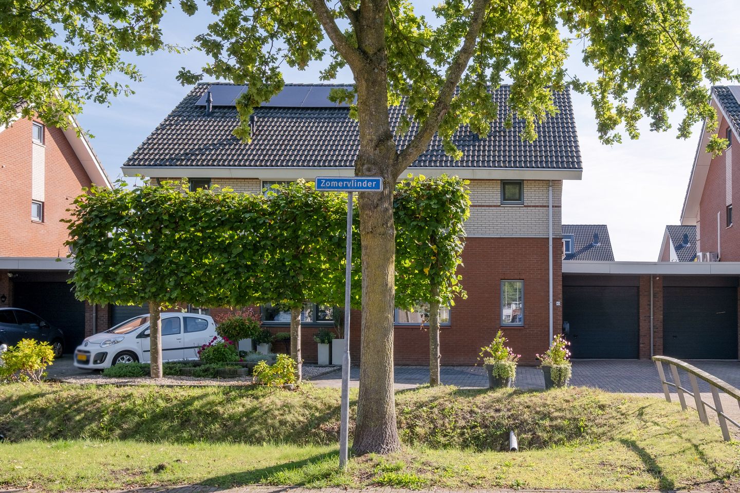 Foto 4 van Zomervlinder 43