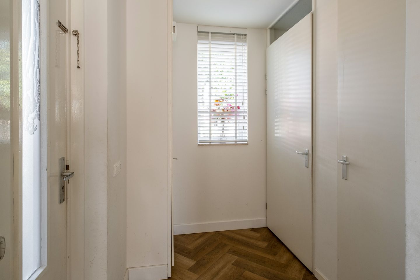 Foto 5 van Zomervlinder 43