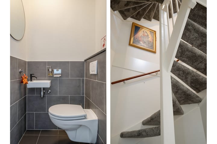 Photo 6 of Zomervlinder 43