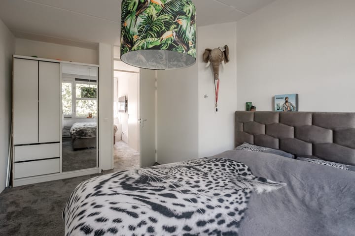 Photo 14 of Zomervlinder 43