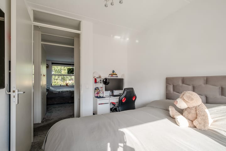 Photo 17 of Zomervlinder 43