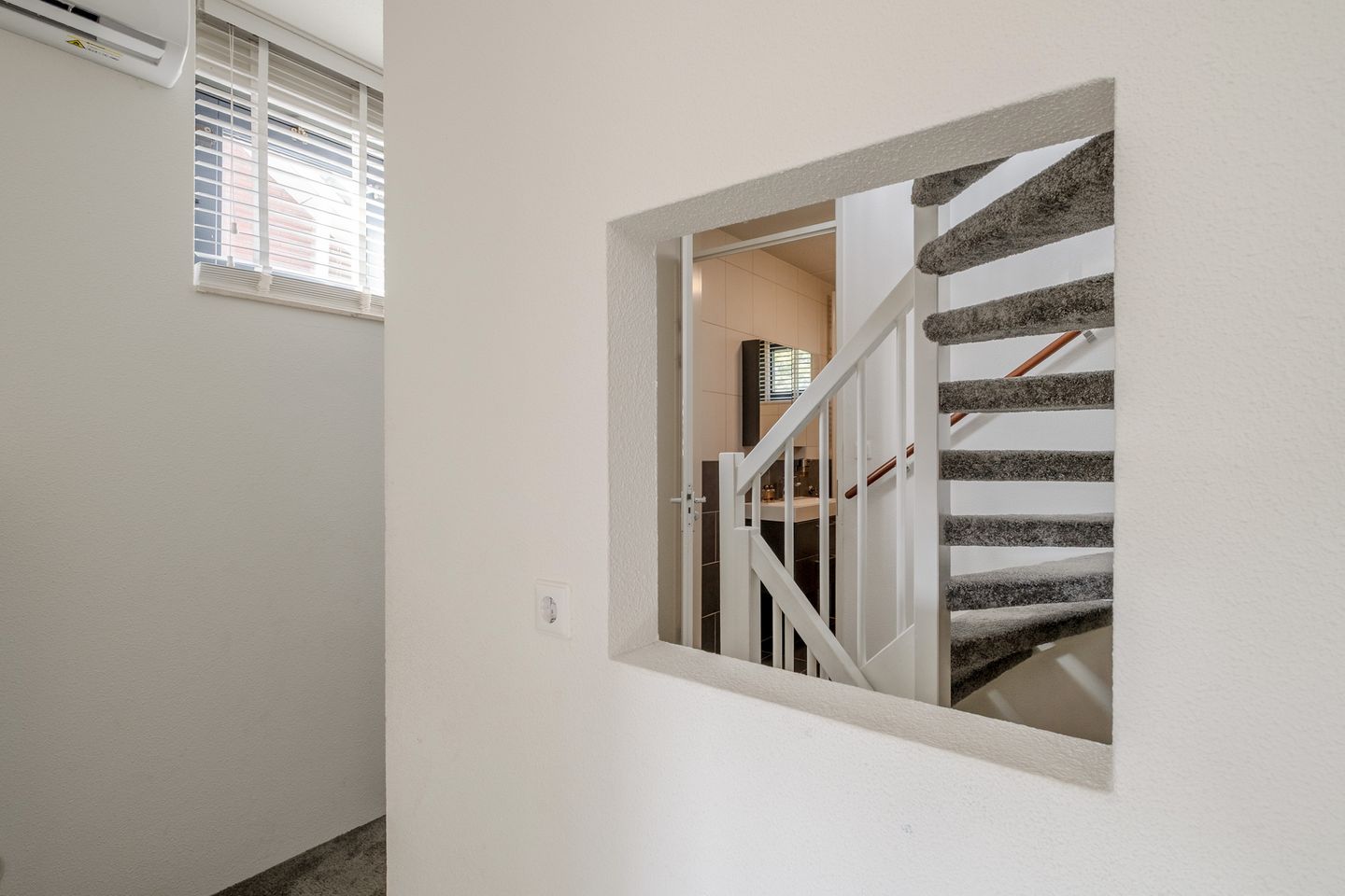 Foto 20 van Zomervlinder 43