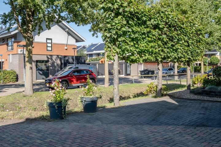 Photo 25 of Zomervlinder 43