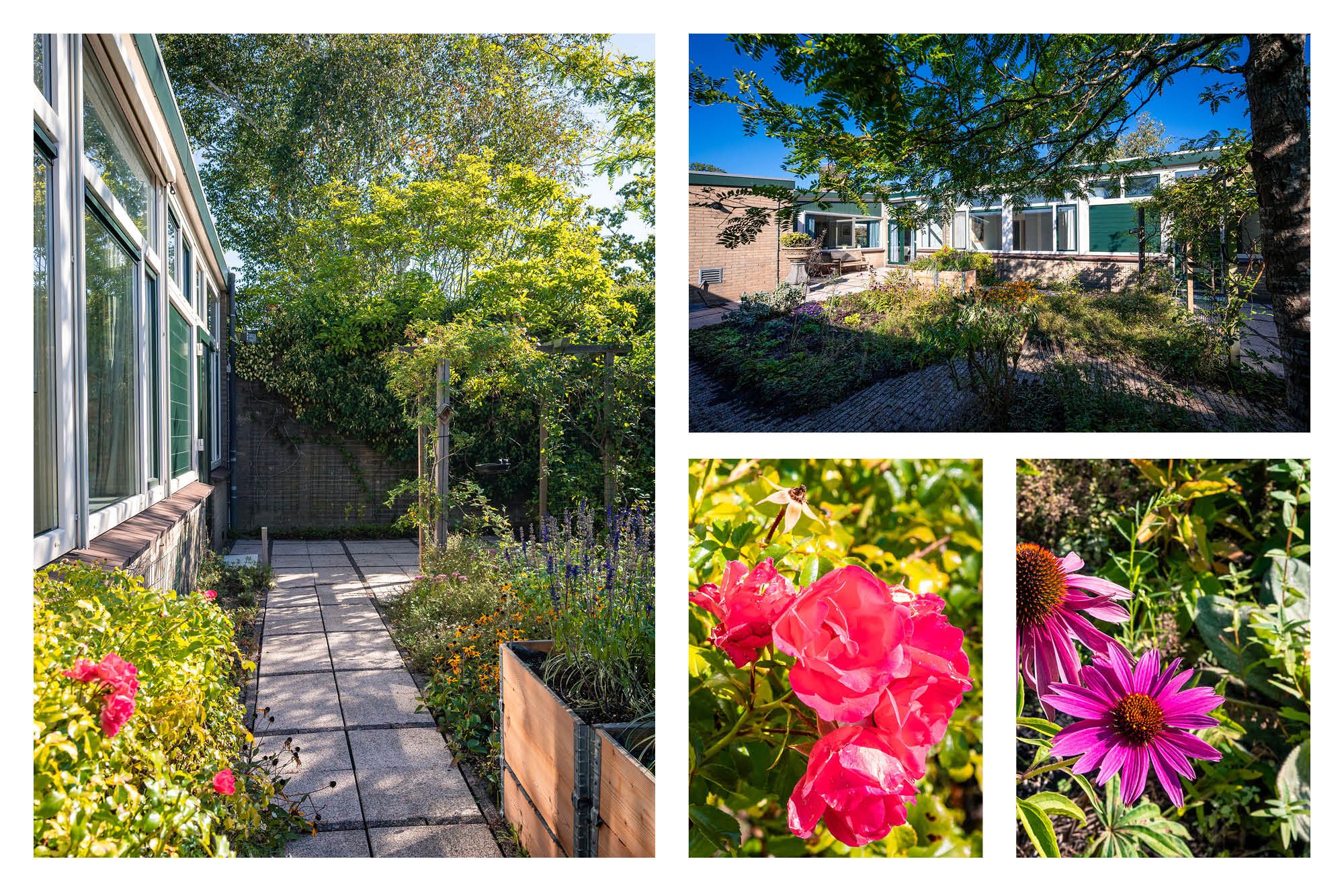 Photo 48 of Groenoord 144