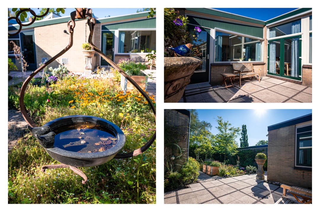 Photo 47 of Groenoord 144