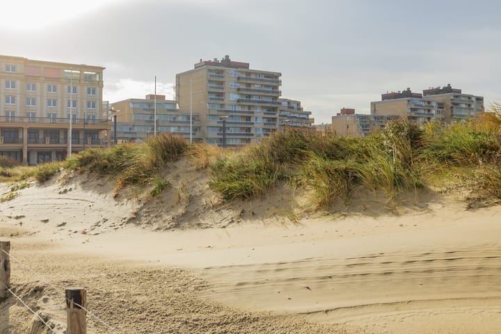 Foto 1 van Adelaert 39