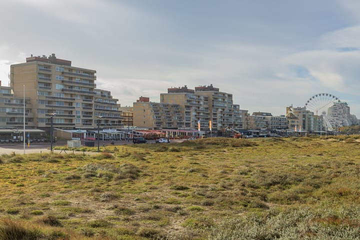 Foto 42 van Adelaert 39