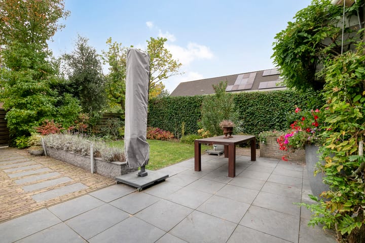 Foto 33 van Tarbot 39