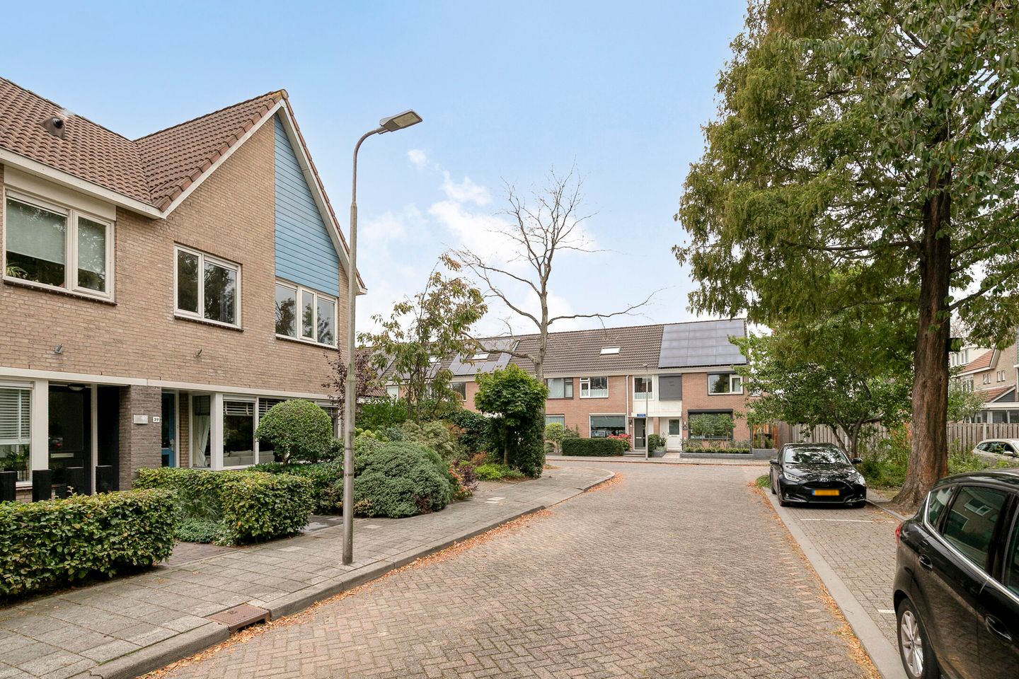 Foto 34 van Tarbot 39