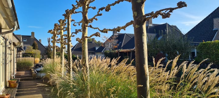 Foto 58 van Valentijnsingel 16