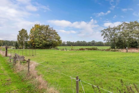 Ringweg Oost 39 tertiary image