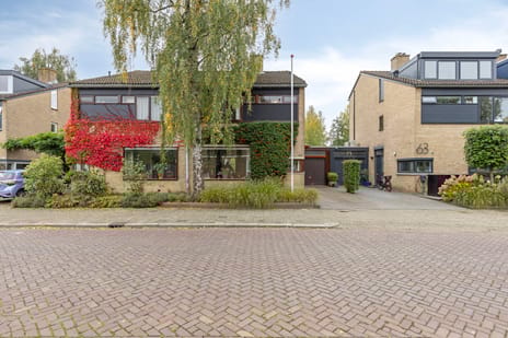 Abeelstraat thumbnail