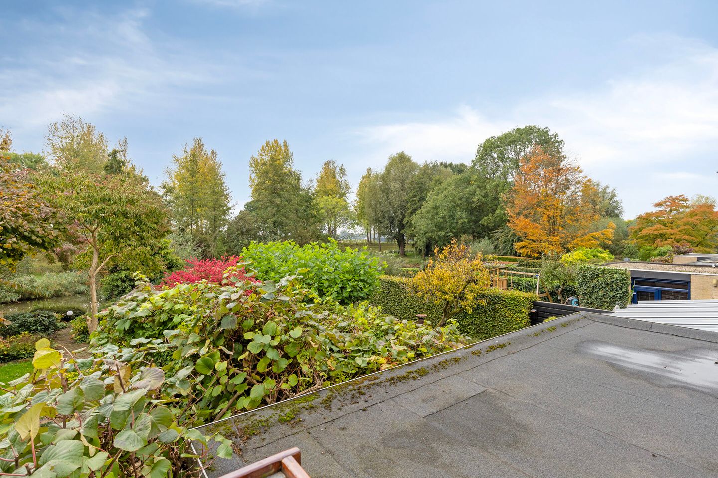 Foto 29 van Abeelstraat 65