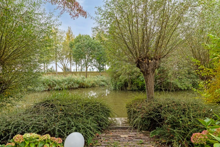 Photo 41 of Abeelstraat 65