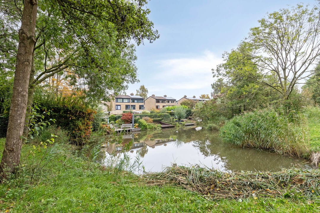 Foto 43 van Abeelstraat 65