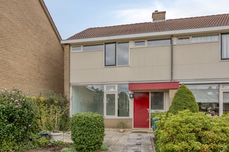 undefined main image