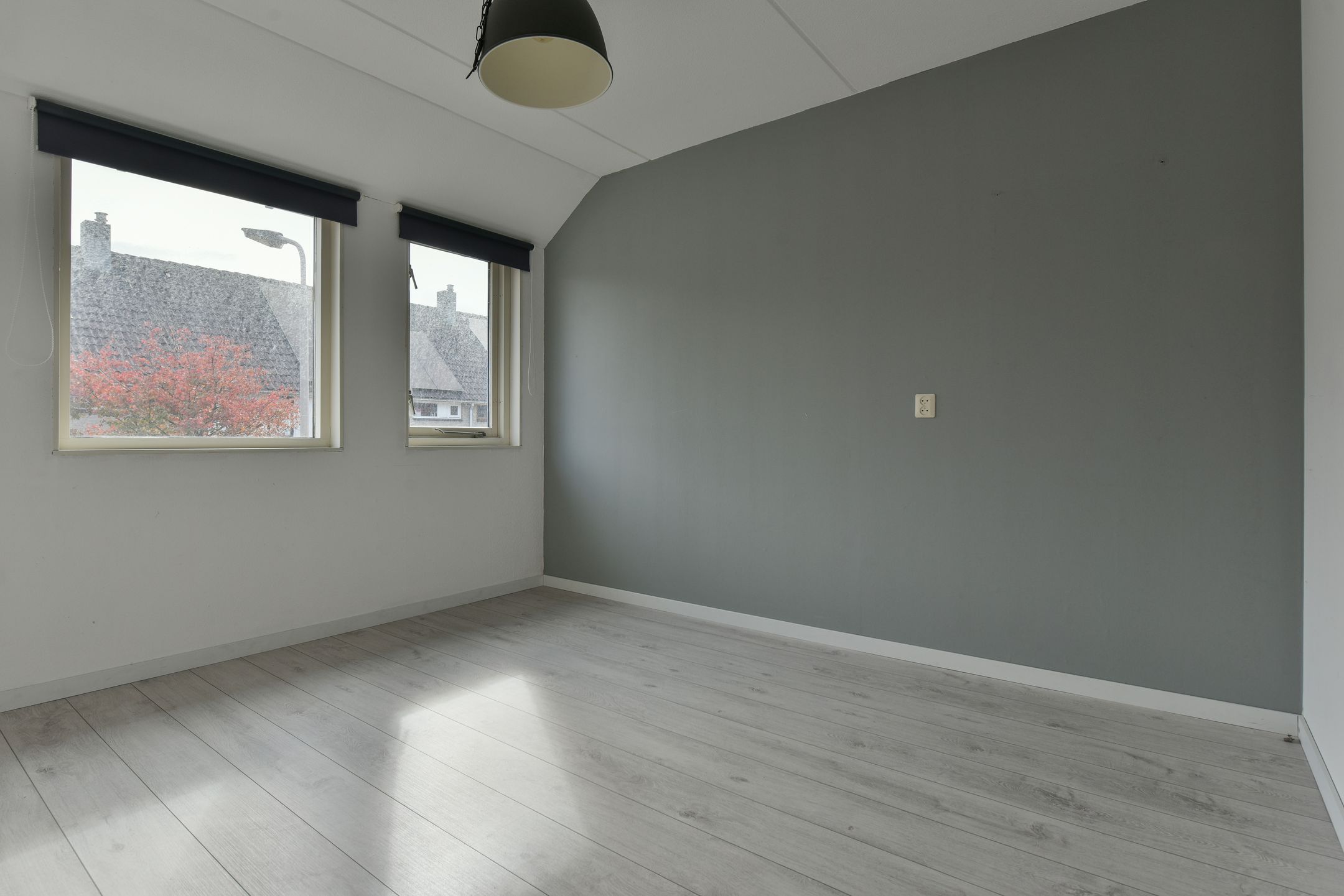 Photo 9 of Floraronde 259