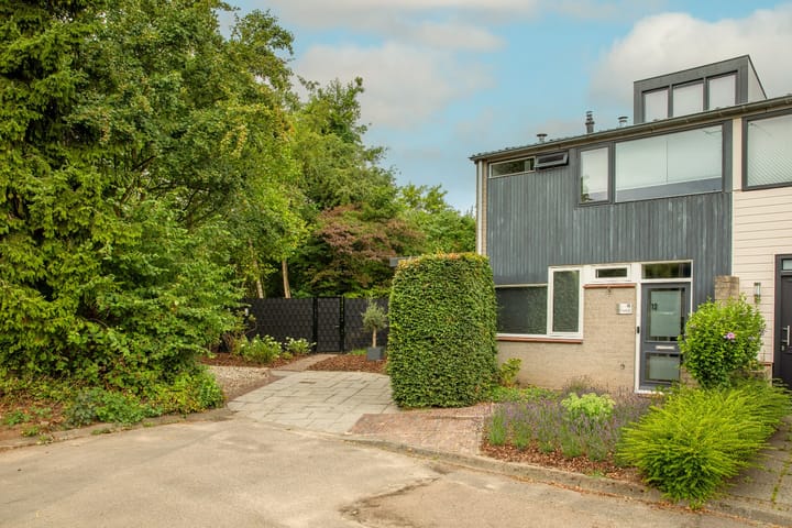 Foto 4 van Prof. Einthovenlaan 12