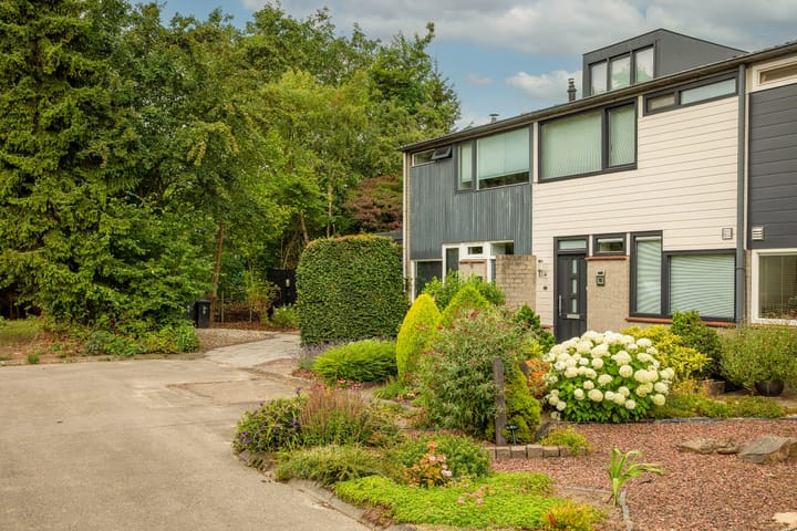 Foto 55 van Prof. Einthovenlaan 12