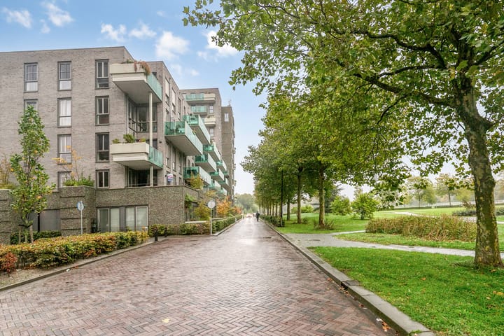 Photo 39 of Buenos Airesstraat 121