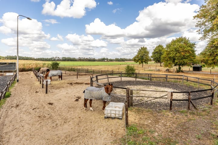 Photo 41 of Hondseind 7