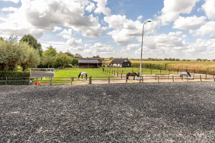 Photo 42 of Hondseind 7