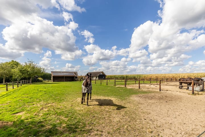 Photo 43 of Hondseind 7