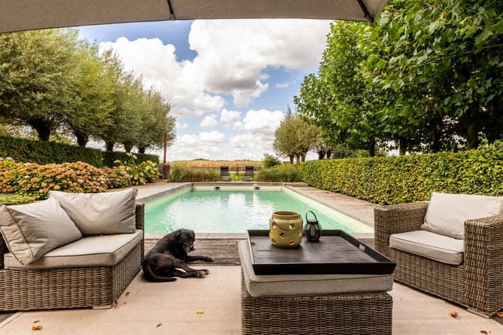 Photo 47 of Hondseind 7