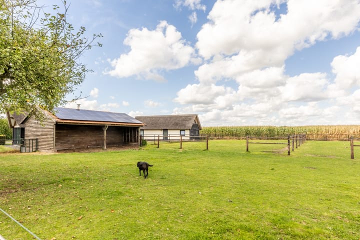 Photo 53 of Hondseind 7