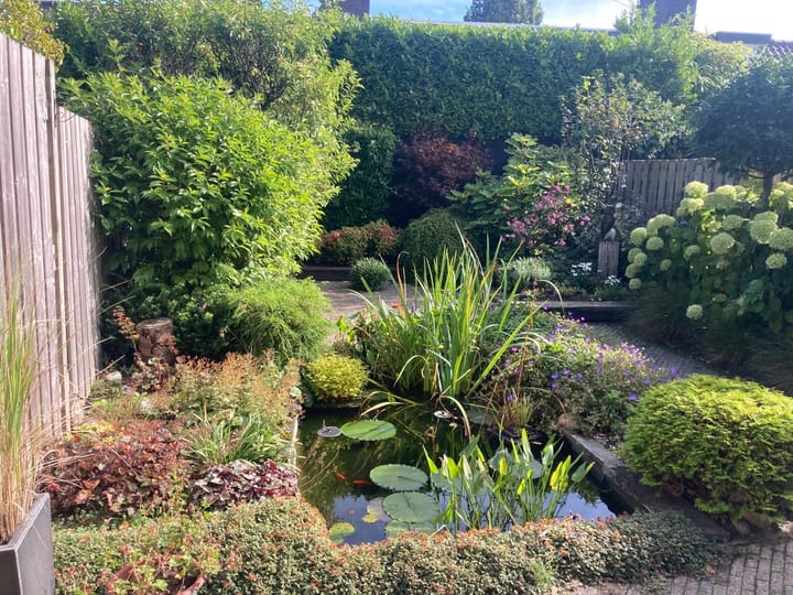 Foto 25 van Telemannstraat 12