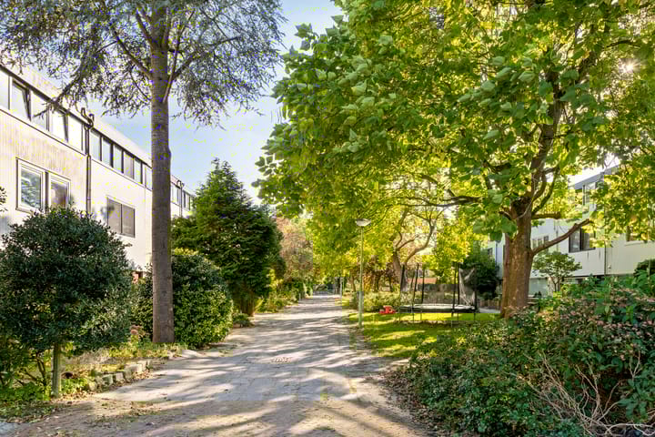 Photo 10 of Nijenrode 4