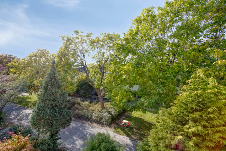 Photo 54 of Nijenrode 4