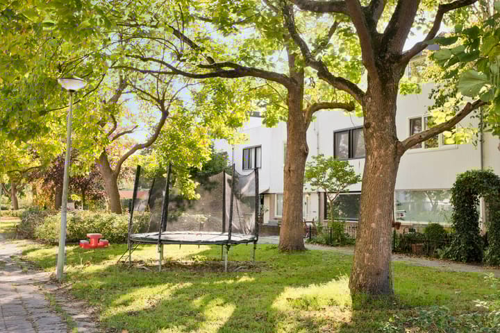 Photo 68 of Nijenrode 4