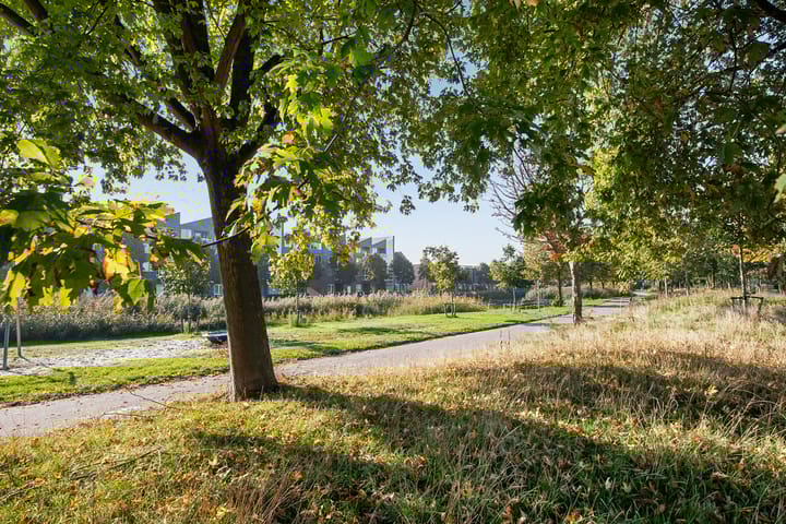 Foto 39 van Remmersteinpark 78