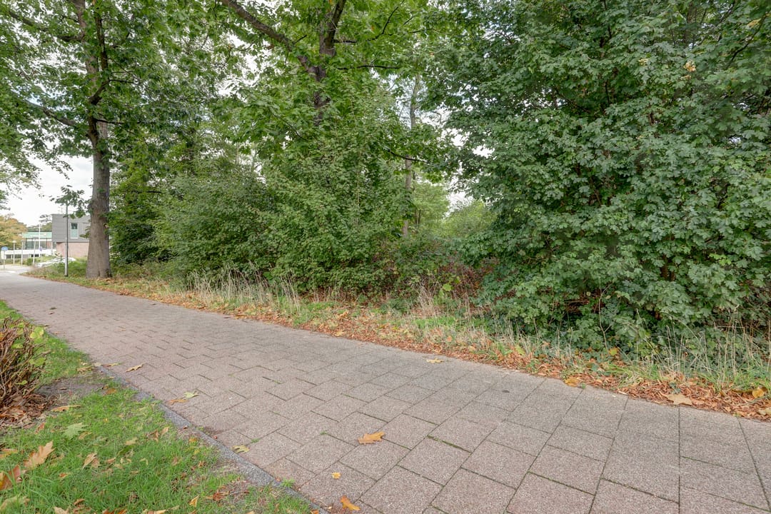 Photo 52 of Muntweg 432