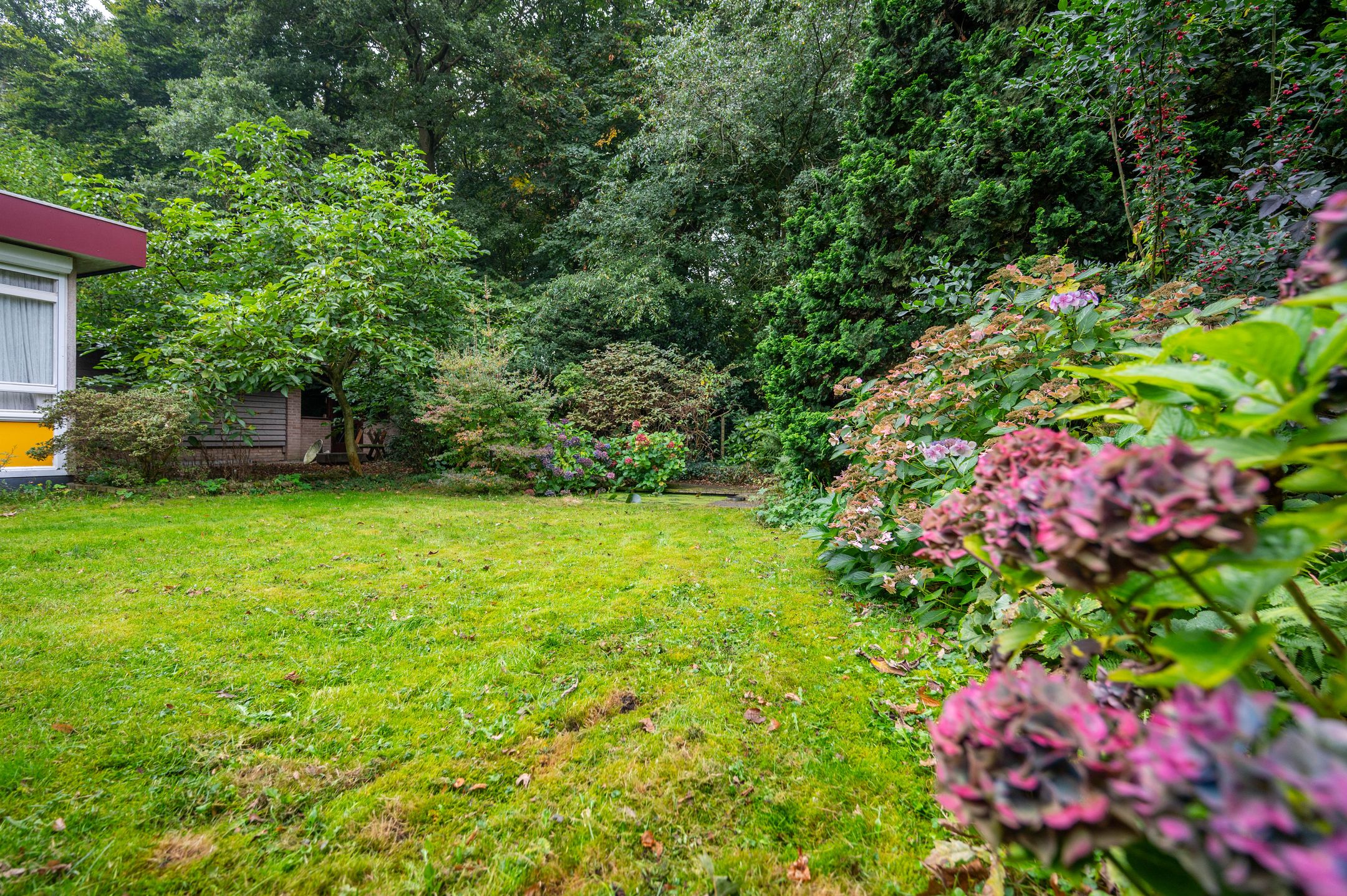 Foto 24 van Haringvliet 18