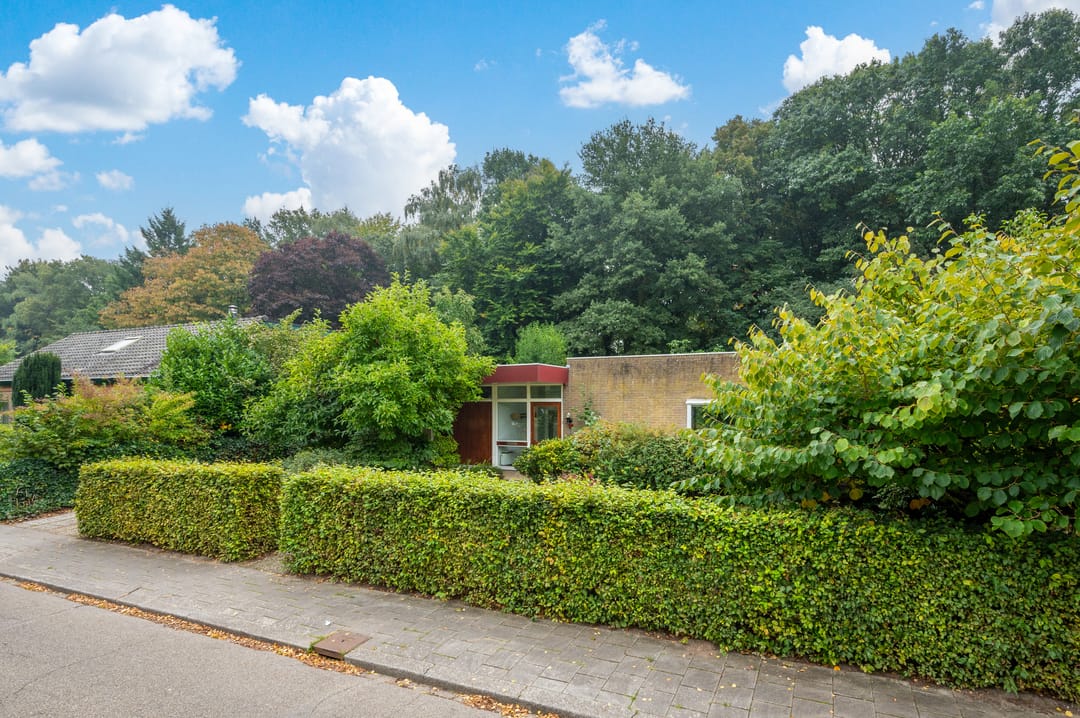 Foto 31 van Haringvliet 18