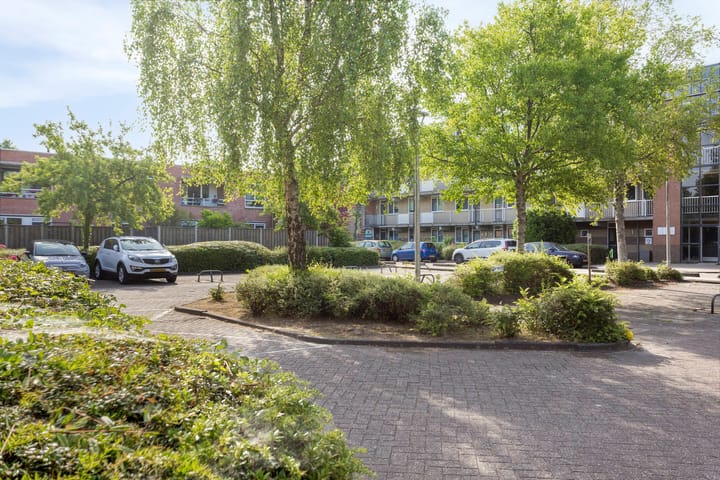 Photo 34 of Kampwal 38