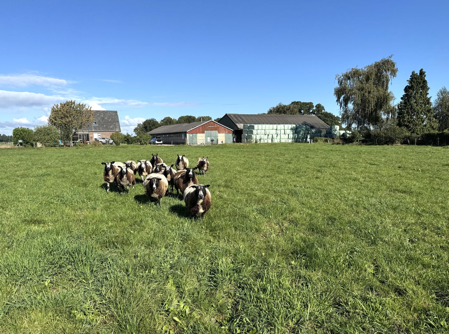 Bekijk foto 3 van Deelsum 17