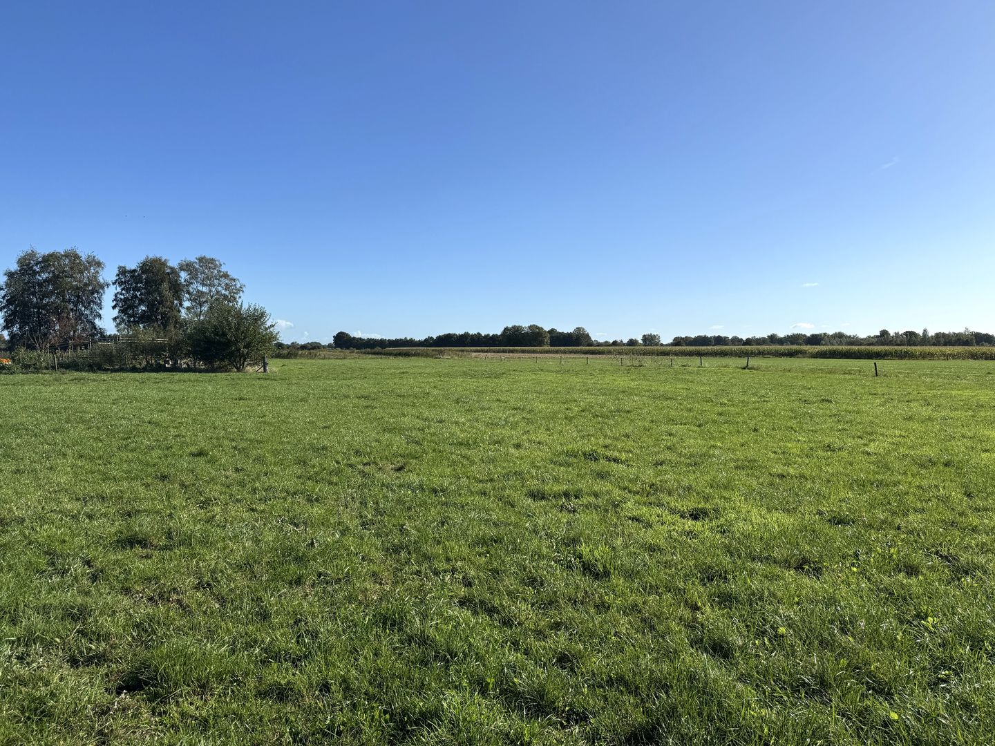 Bekijk foto 4 van Deelsum 17