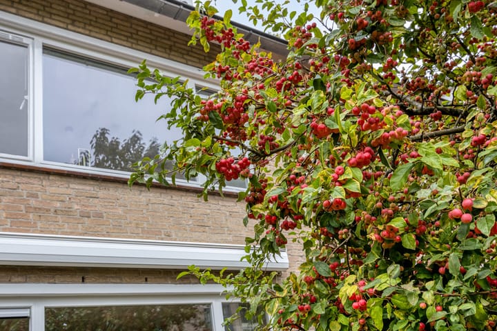 Foto 44 van Hulstbosakker 13